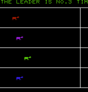 Turtle Races